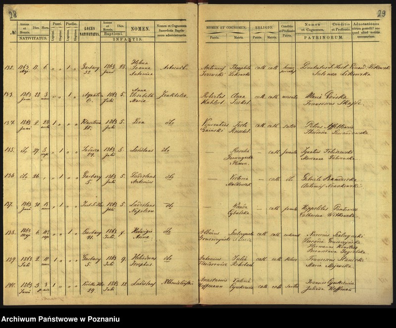 Obraz 17 z jednostki "Księga urodzin"