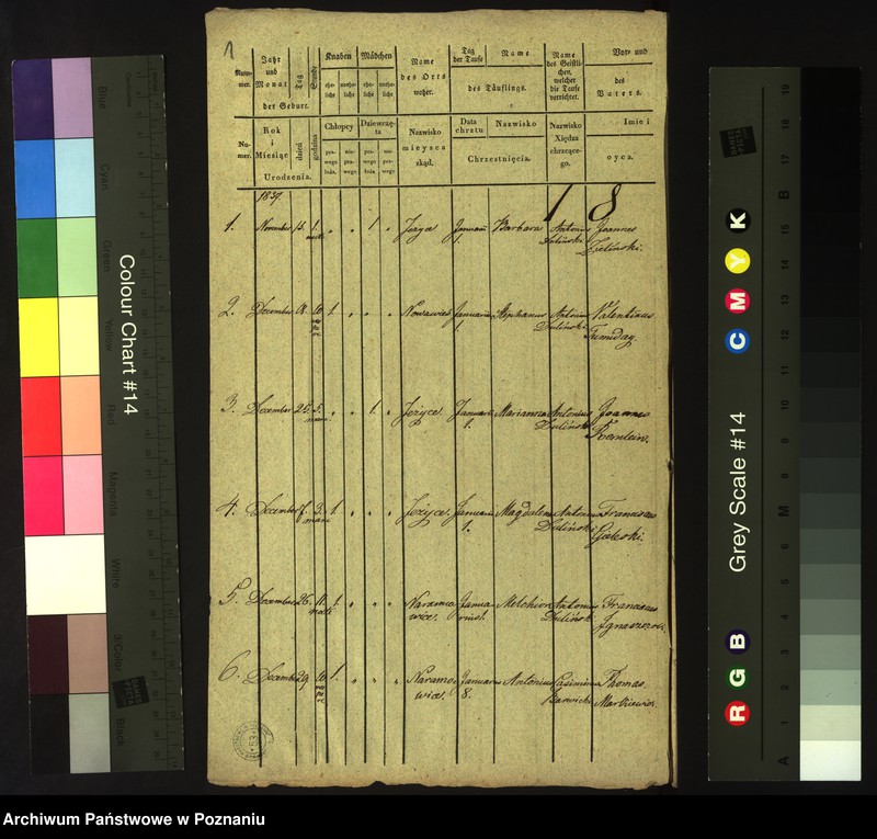 Obraz 3 z jednostki "Księga urodzeń"