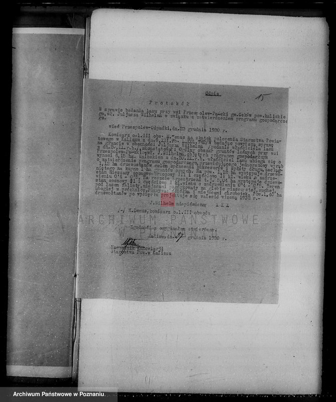 Obraz 19 z jednostki "Gmina Ceków w powiecie kaliskim nadzór nad gospodarką w lasach"