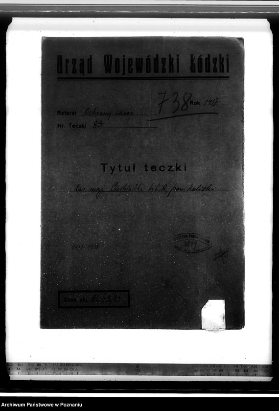 Obraz 4 z jednostki "Lasy majątku Cierpiatki w powiecie kaliskim"