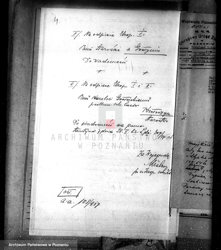 Obraz 8 z jednostki "Majętność leśna Dzięczyna w powiecie gostyńskim"