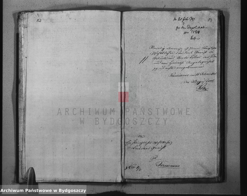 image.from.team "Akta metrykalne żydowskiej gminy wyznaniowej w Kwieciszewie pow. Mogilno"