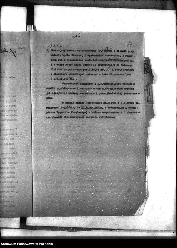 Obraz 17 z jednostki "Zaraza płucna - Poznań-Wschód"