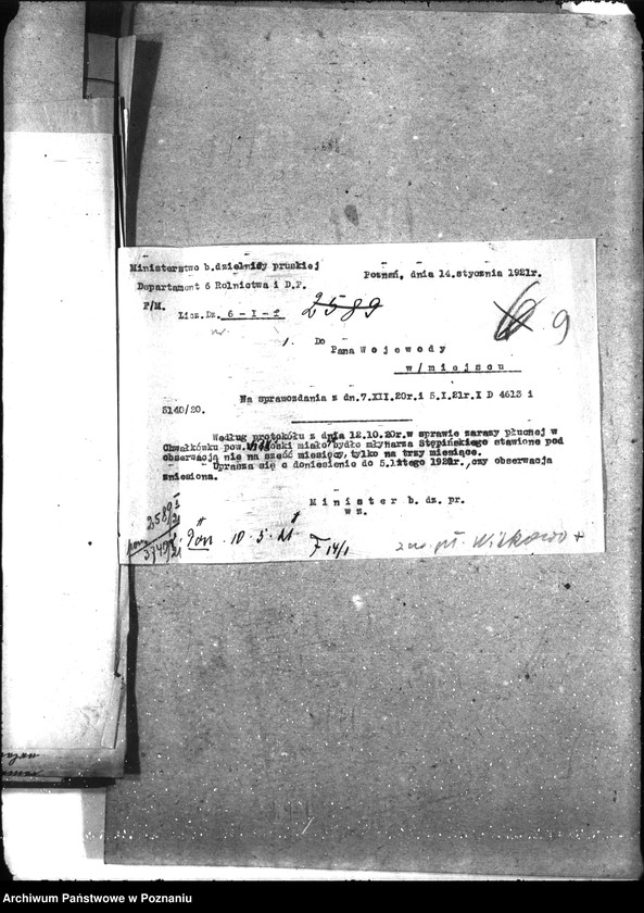 Obraz 13 z jednostki "Zaraza płucna - Witkowo"