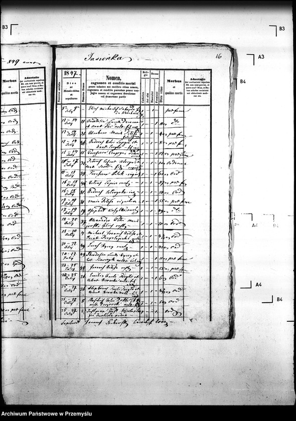 Obraz 20 z jednostki "[Kopie ksiąg metrykalnych parafii Krzywa z filiami Jasionka, Wołowiec (dekanat Gorlice)]"