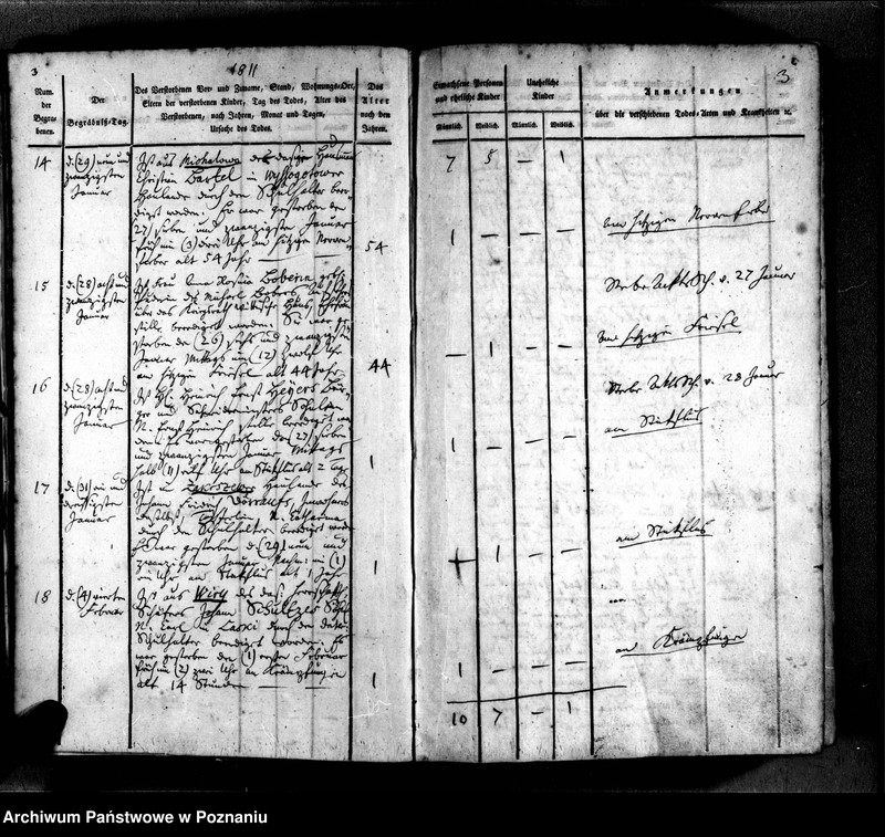 Obraz 7 z jednostki "Sterbenbuch"