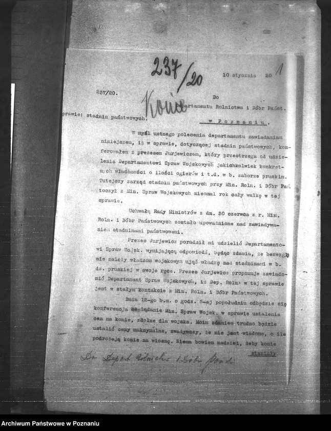 Obraz 5 z jednostki "Konie"