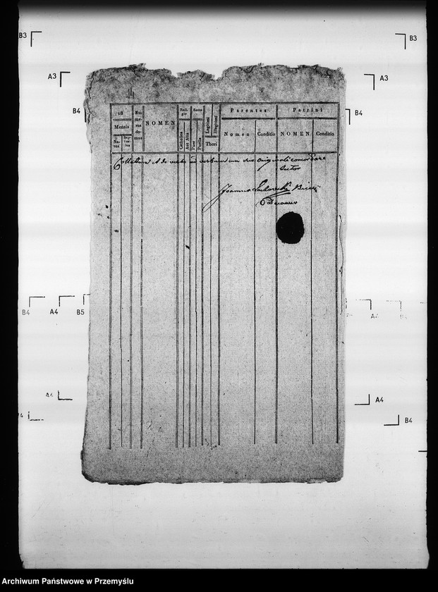 Obraz 18 z jednostki "[Kopie ksiąg metrykalnych parafii Zdynia z filiami Konieczna, Ług (dekanat Gorlice)]"