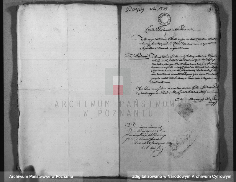 Obraz 13 z jednostki "Duplikat aktów urodzeń, małżeństw i zejścia"