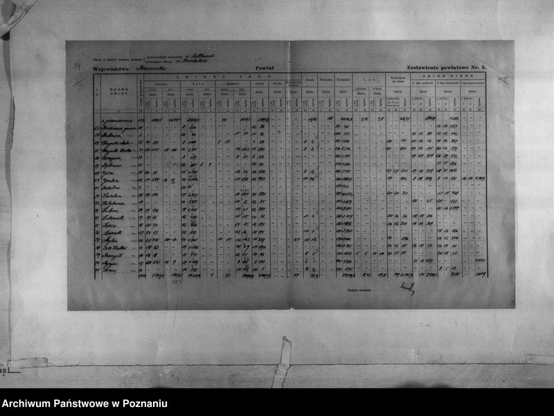 Obraz 16 z jednostki "/Statystyka produkcji rolnej - zestawienie powiatowe dotyczące zbiorów z terenu powiatu międzychodzkiego/"