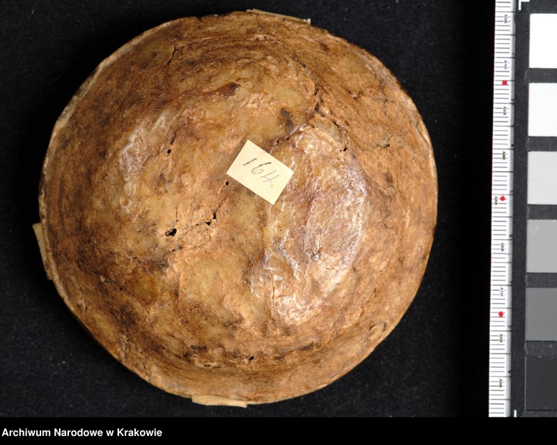 image.from.unit.number "Bona Sforza. Królowa Polski, Wielka Księżna Litewska. W polu pieczęci ukoronowana tarcza czteropolowa z herbami: polskim (prawe górne pole), Wąż Sforzów i Orzeł (lewe górne), herb mediolański i aragoński (prawe dolne), Pogoń (lewe dolne) tarczę otaczającą elementy roślinne. Otok ujęty w sznury perełek z napisem kapitalnym, renesansowym: BONA SFOR[TIA] ARAG[ONIA] D[EI] G[RATIA] REGINA POLONIE MAG[NA] DVX LITVANIE"