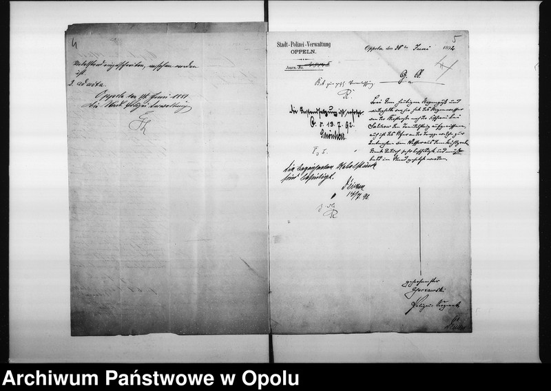 Obraz 8 z jednostki "Acta des Magistrats zu Oppeln betreffend den Treidelsteig auf der Fischerei Vol: II"