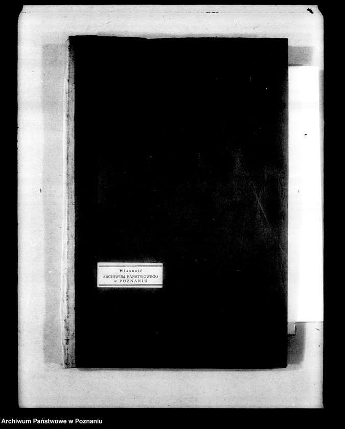 Obraz 4 z jednostki "Prywatna Szkoła Powszechna z niemieckim językiem nauczania- Leszno"