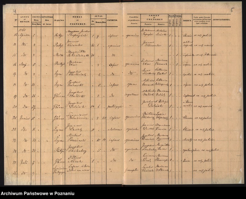 Obraz 5 z jednostki "Duplicat mortuorum"