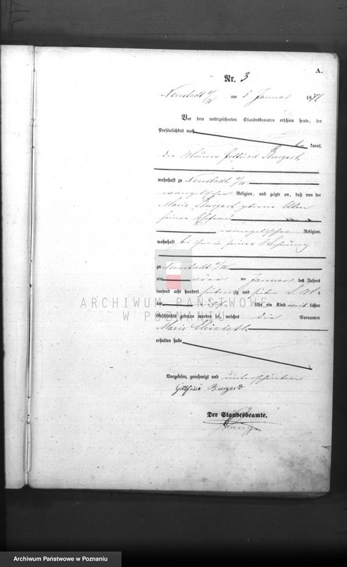 Obraz z zespołu "Urząd Stanu Cywilnego Nowe Miasto nad Wartą (pow. jarociński)"