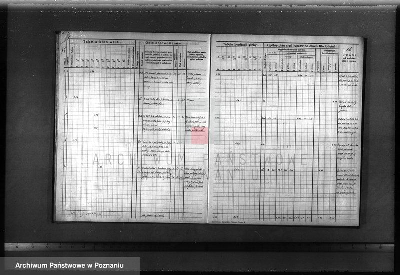 image.from.unit.number "Plan urządzenia gospodarstwa leśnego dla lasu majątku Lubosz powiatu międzychodzkiego 1936-1946"