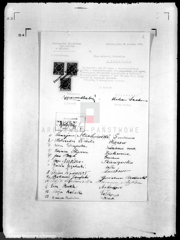 Obraz 6 z jednostki "/Towarzystwo Miłośników Ogrodnictwa w Gnieźnie/"