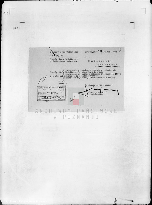 Obraz 8 z jednostki "Towarzystwo Ogródków Działkowych przy Parku 3 Maja w Ostrowie Wielkopolskim"