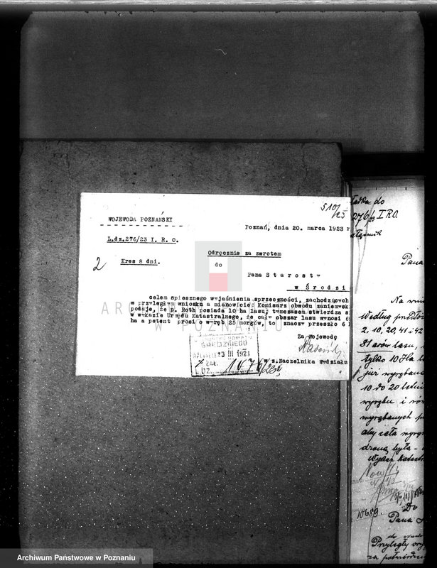 Obraz 6 z jednostki "Nadzór nad gospodarką w lasach majętności Borowo powiat średzki"