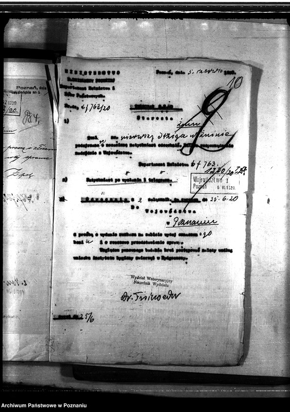 Obraz 14 z jednostki "Nosacizna - Żnin"