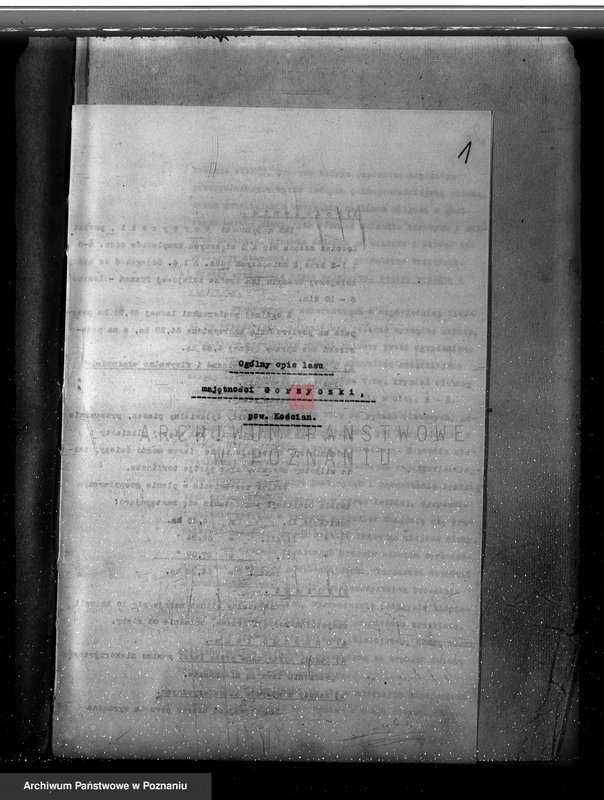 Obraz 5 z jednostki "Plan urządzania gospodarstwa leśnego dla lasu majętności Gorzyczki powiat kościański"