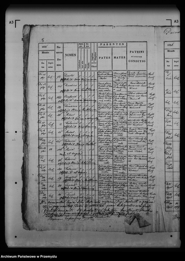 image.from.unit.number "[Kopie ksiąg metrykalnych parafii Smolnik z filią Mików (dekanat Łupków)]"