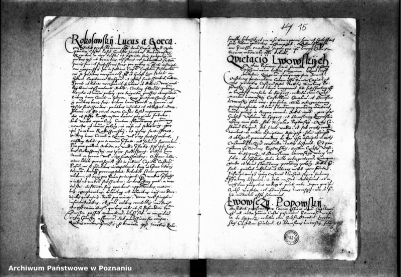 Obraz 20 z jednostki "Inscriptiones, relationes, decreta iudicii et officii [inducta]"