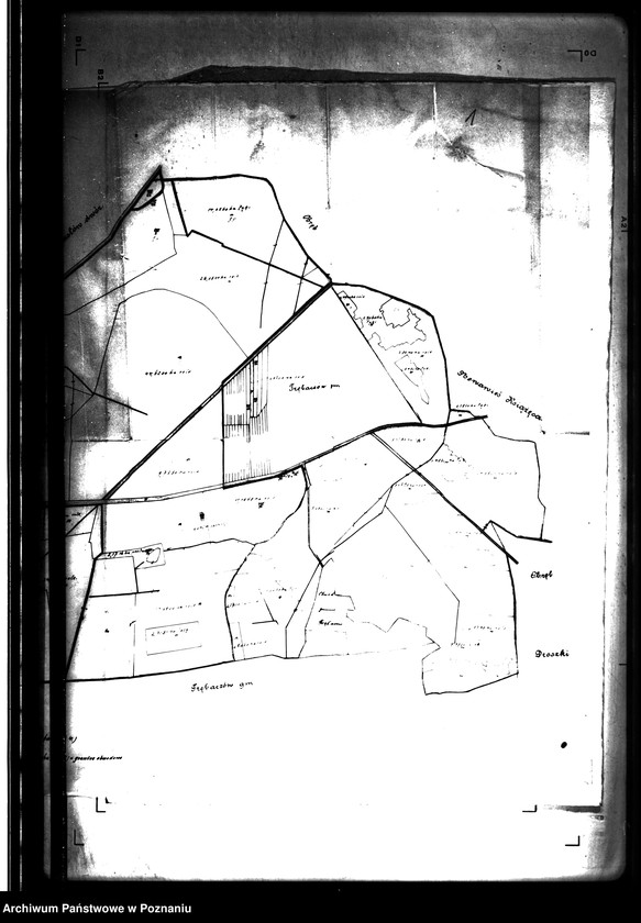 Obraz 4 z jednostki "Majątek Bralin powiatu kępińskiego wyłączenie z art. 4 i 5 ustawy o przeprowadzeniu reformy rolnej Gustaw Biron von Curland"