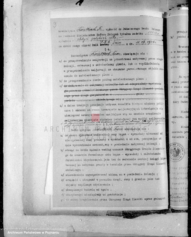 Obraz 7 z jednostki "Białowieżyn III w powiecie żnińskim osada rentowa"