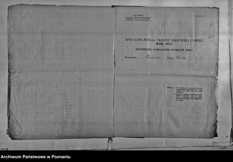Obraz 14 z jednostki "Spis koni, bydła, trzody chlewnej i owiec - zestawienie z terenu powiatu średzkiego"