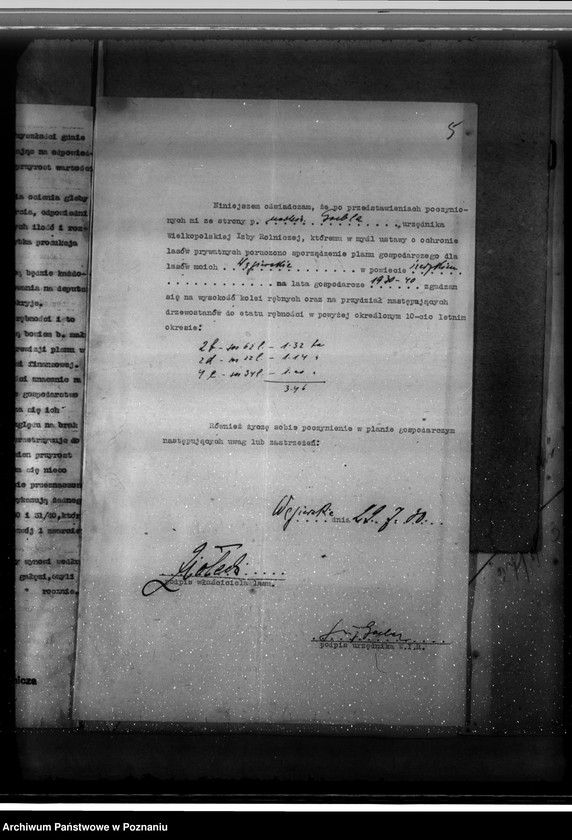 Obraz 9 z jednostki "Majętność leśna Węgierskie powiat średzki [opis lasu i plan cięć]"