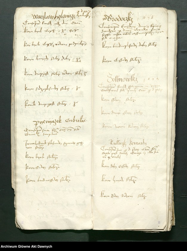 image.from.unit.number "Conscripcio curiensium et cubiculariorum Rmtis AD 1497 in Radom per Petrum Shidlo[wyeczki]."