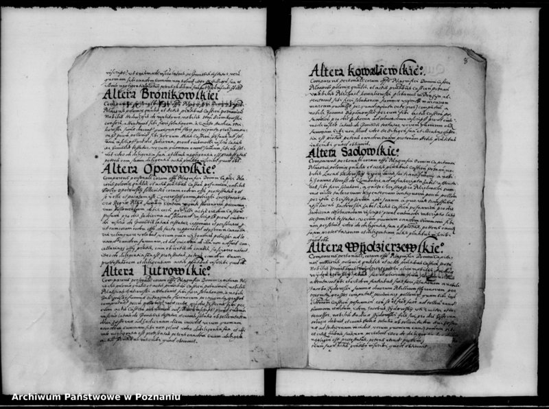 Obraz 12 z jednostki "Inscriptiones, relationes [inducta]"