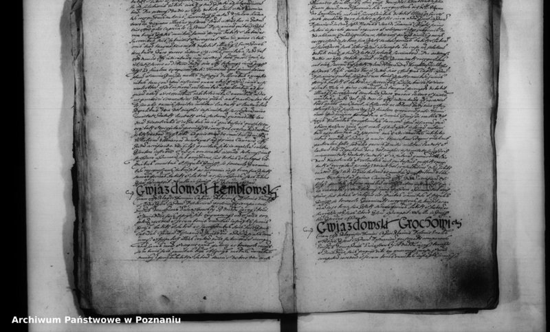 Obraz 13 z jednostki "Inscriptiones [inducta]"