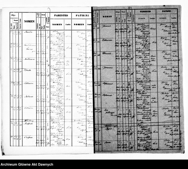 image.from.unit.number "Parafia: Niemirów. Dekanat: Lubaczów. Kopie z ksiąg metrykalnych ur., śl., zg. dla miasta Niemirów i wsi: Budomirz, Szczerzec, Huta Kryształowa, Wierzbiany, Wróblaczyn."