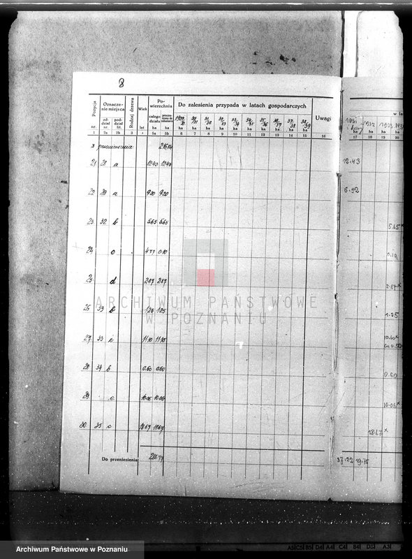 Obraz 12 z jednostki "Plan urządzenia gospodarstwa leśnego dla lasu majętności Nowy Dwór w powiecie nowotomyskim 1930-1940"