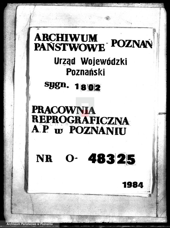 Obraz 12 z jednostki "Drzewostan majętności Pałczyn"