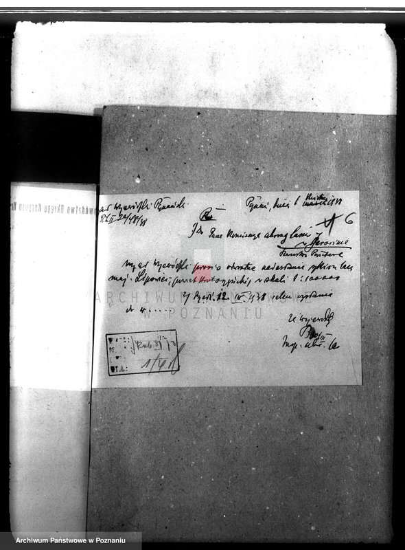 Obraz 11 z jednostki "Las majątku Lipowiec powiat krotoszyński"