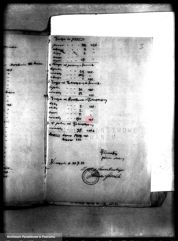 Obraz 9 z jednostki "Drzewostan w majętności państwowej Miniszew"