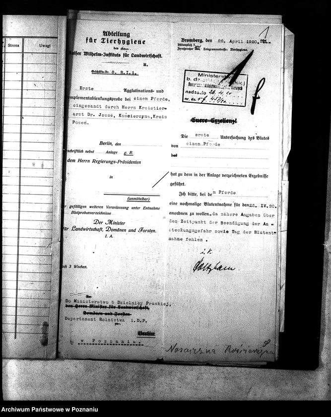 Obraz 5 z jednostki "Nosacizna - Kościerzyna"