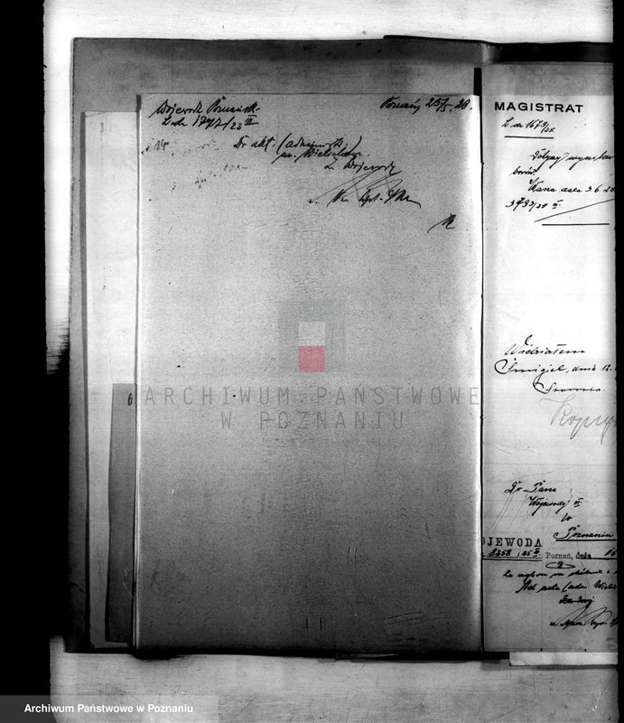 Obraz 18 z jednostki "Administracja miasta Wielichowa"