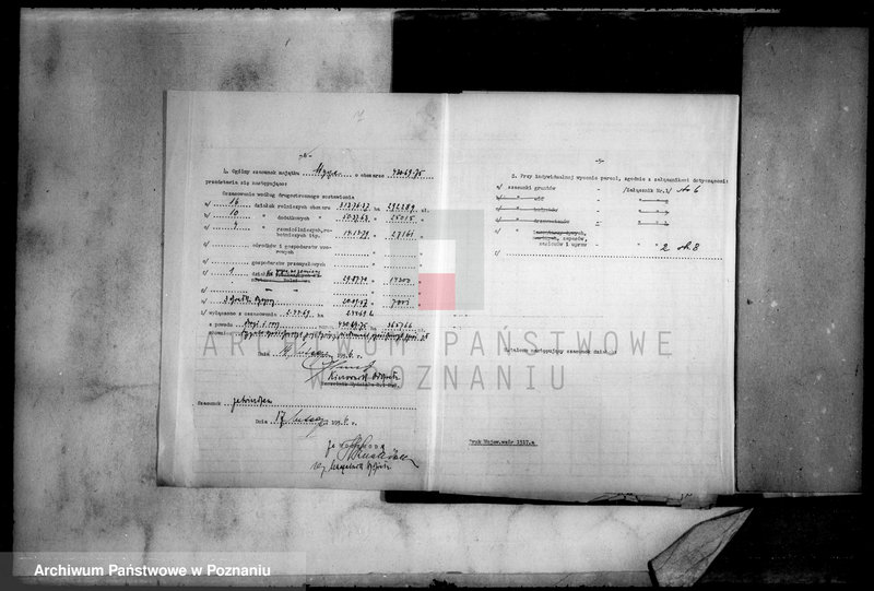 Obraz 11 z jednostki "Operat szacunkowy majątku Wyrza osada powiatu wyrzyskiego"