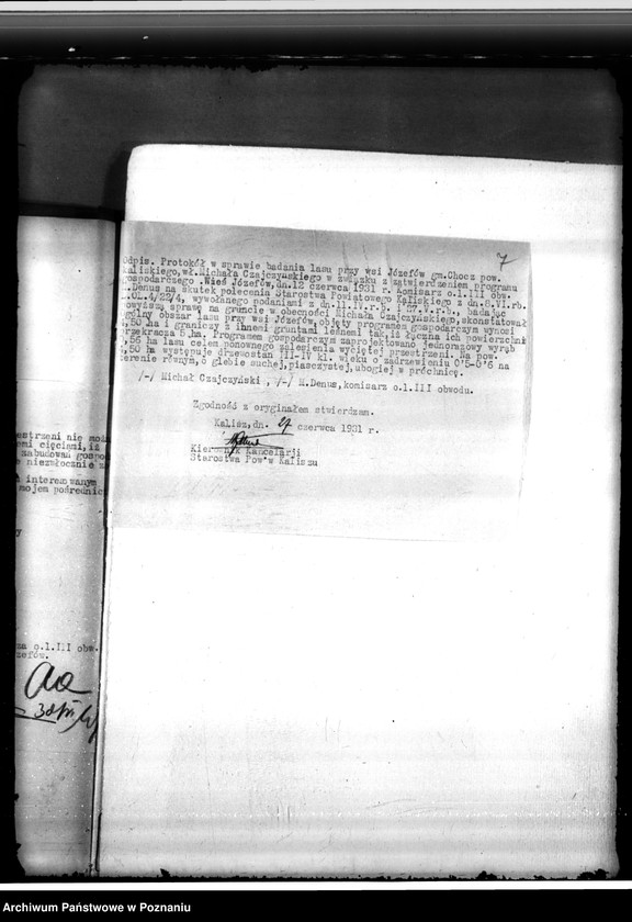 Obraz 11 z jednostki "Gmina Chocz w powiecie kaliskim /nadzór nad gospodarką leśną/"