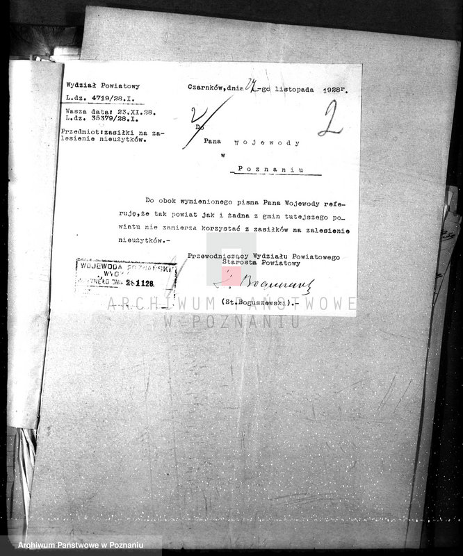 Obraz 6 z jednostki "Zalesianie nieużytków w powiecie czarnkowskim"