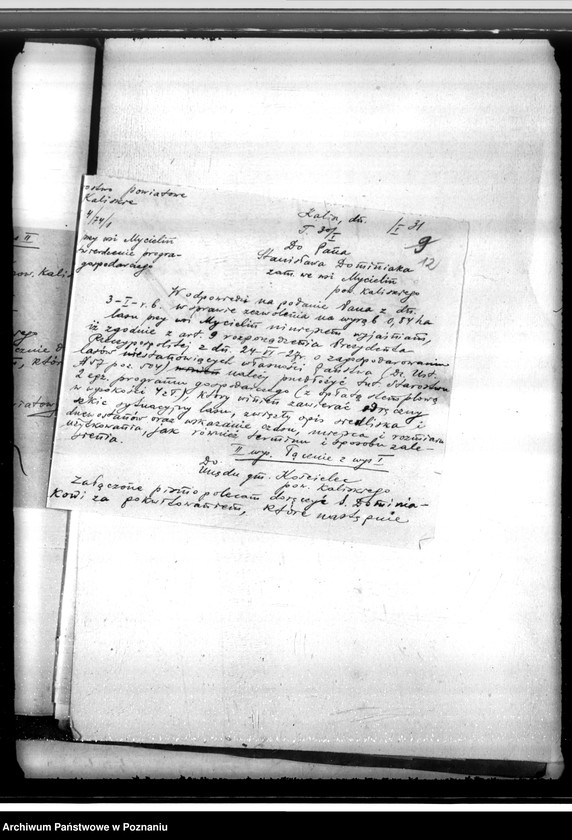 Obraz 16 z jednostki "Gmina Kościelec powiat kaliski /sprawy leśne/"