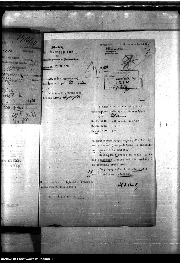 Obraz 11 z jednostki "Nosacizna - Wyrzysk"