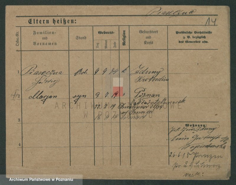 Obraz 16 z jednostki "Piaseczny - Piątkowiak"