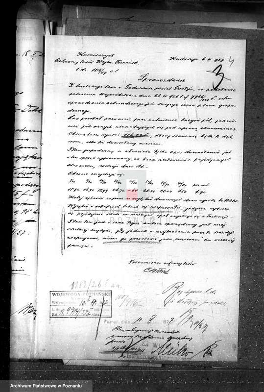 Obraz 8 z jednostki "Majętność leśna Godurowo w powiecie gostyńskim"