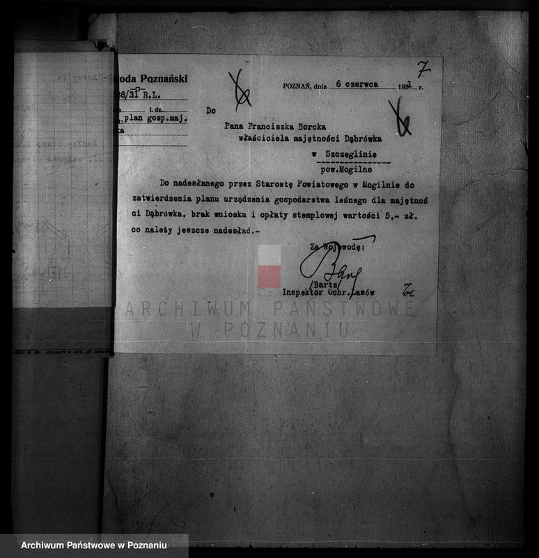 Obraz 11 z jednostki "Majętność /leśna/ Szczeglin Dąbrówka w powiecie mogileńskim"