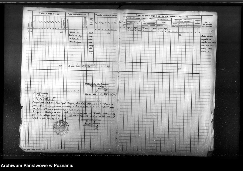 Obraz 8 z jednostki "Program urządzenia gospodarstwa leśnego lasu St. A i M Kaczmarków w gminie Gołuski powiat poznański 1930-1940"